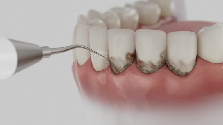 Reliable Dental contractor in Rio Grande City, TX by Dentist Open Now